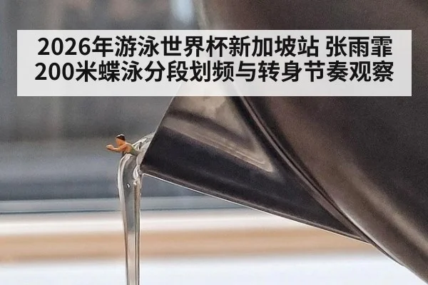 2026年游泳世界杯新加坡站 张雨霏200米蝶泳分段划频与转身节奏观察 | nine game