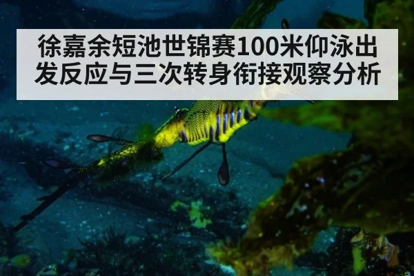 徐嘉余短池世锦赛100米仰泳出发反应与三次转身衔接观察分析(nine game)